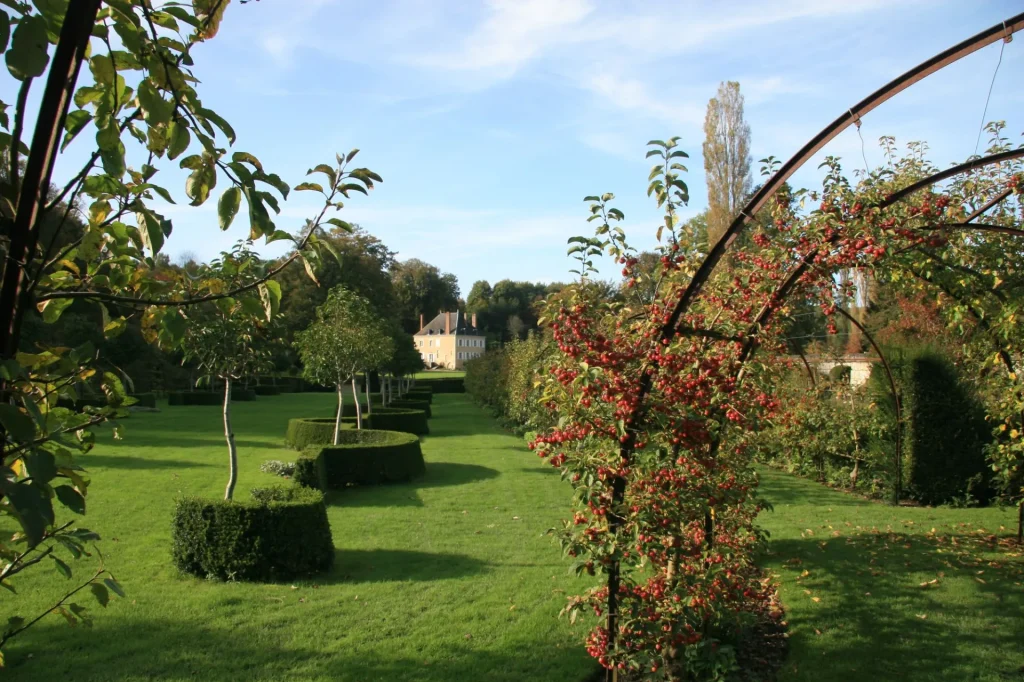 Arbres alignés dans le jardin