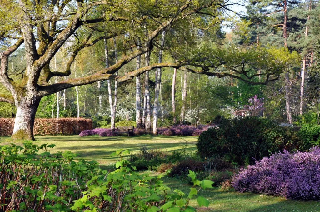 Les grands arbres dans le parc avec des massifs colorés à leurs pieds