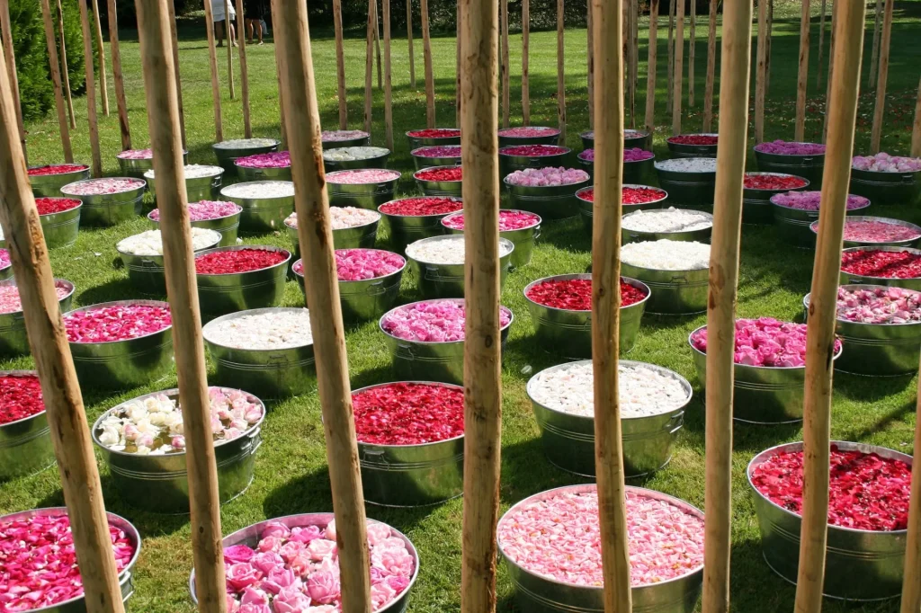 Bacs ronds en métal disposés par terre et remplis de pétales de fleurs roses, rouges et blancs