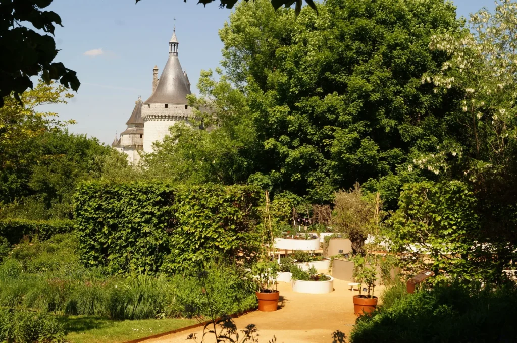 Un jardin niché dans les arbres, le chateau en fond