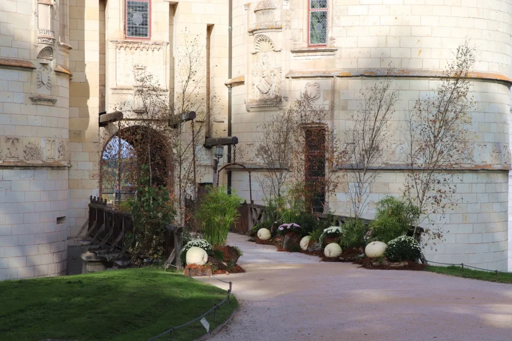 Chateau de Chaumont-sur-Loire, légumes anciens de l'exposition Splendeurs d'automne