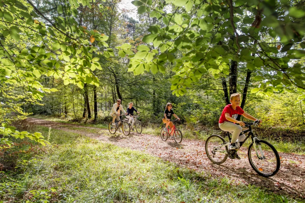 Cyclotouristes dans la foret de Loches