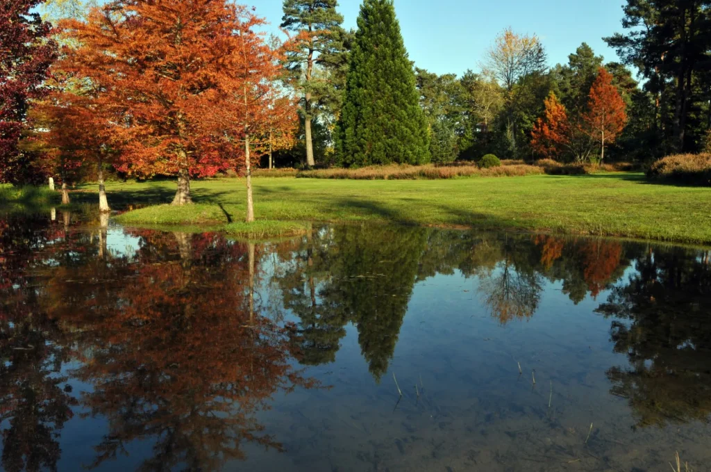 Les arbres aux couleurs de l'automne dans le parc et se reflétant dans l'eau