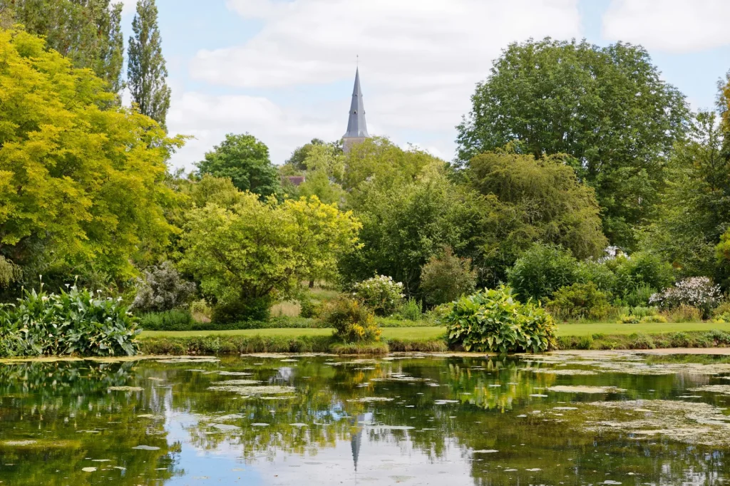 Plan d'eau du jardin avec les arbres en bordure