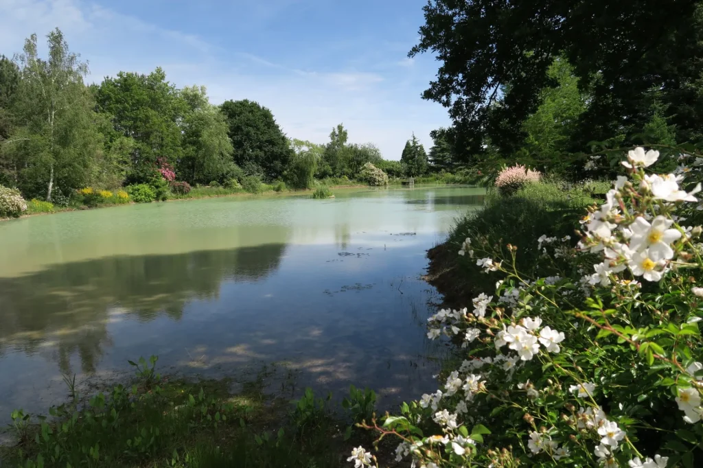 L'étang au jardin de la Javelière