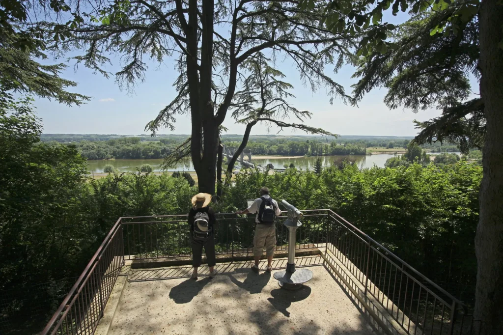 Vue depuis le belvédère du chateau de Langeais