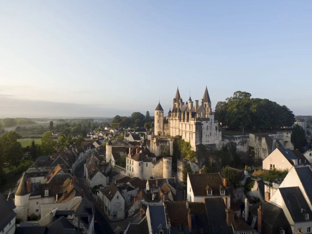 vue sur la Cité royale de Loches