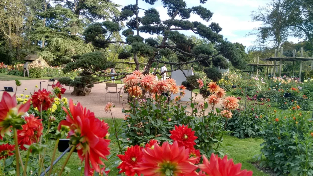 Une place au milieu du parc, des fleurs au premier plan