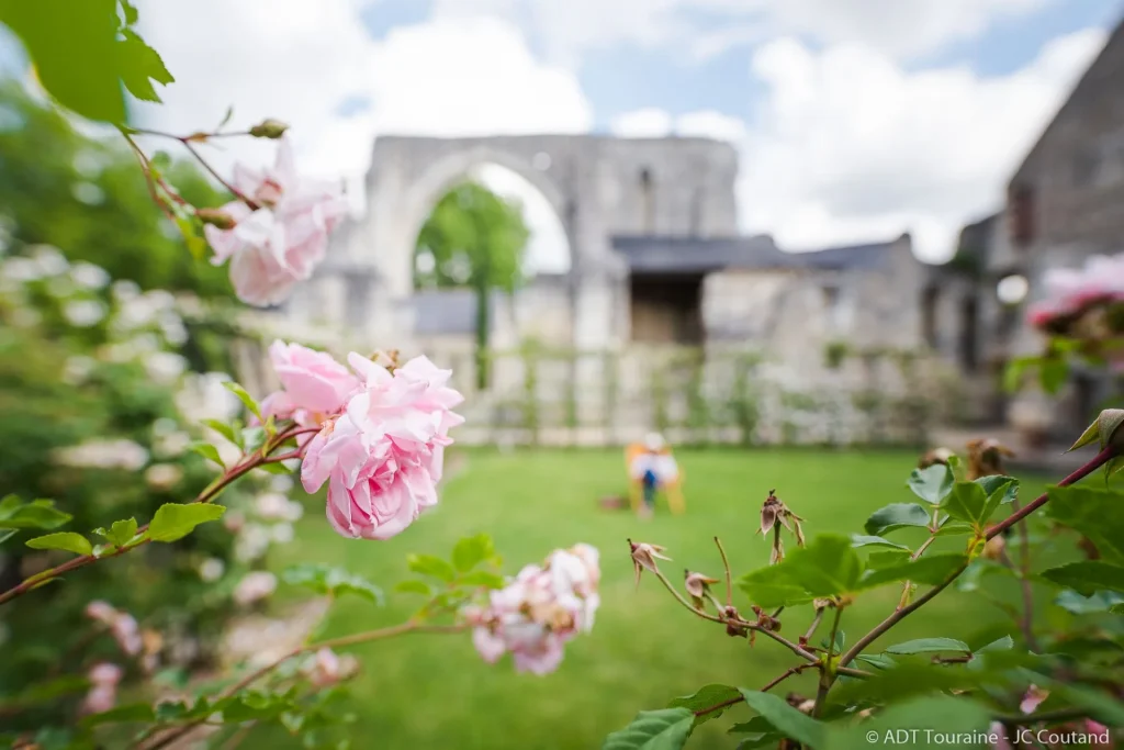 Roses de couleur rose