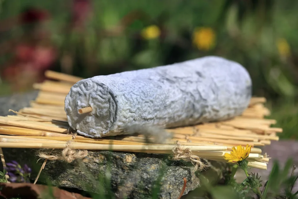 Fromage de chèvre Sainte Maure de Touraine