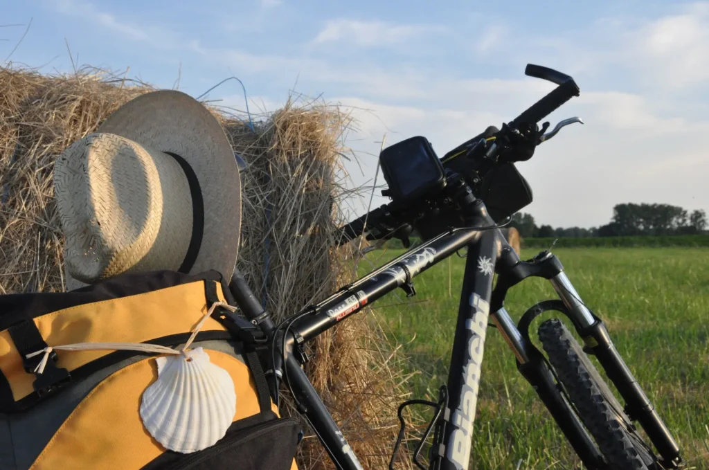 Vélo dans les champs