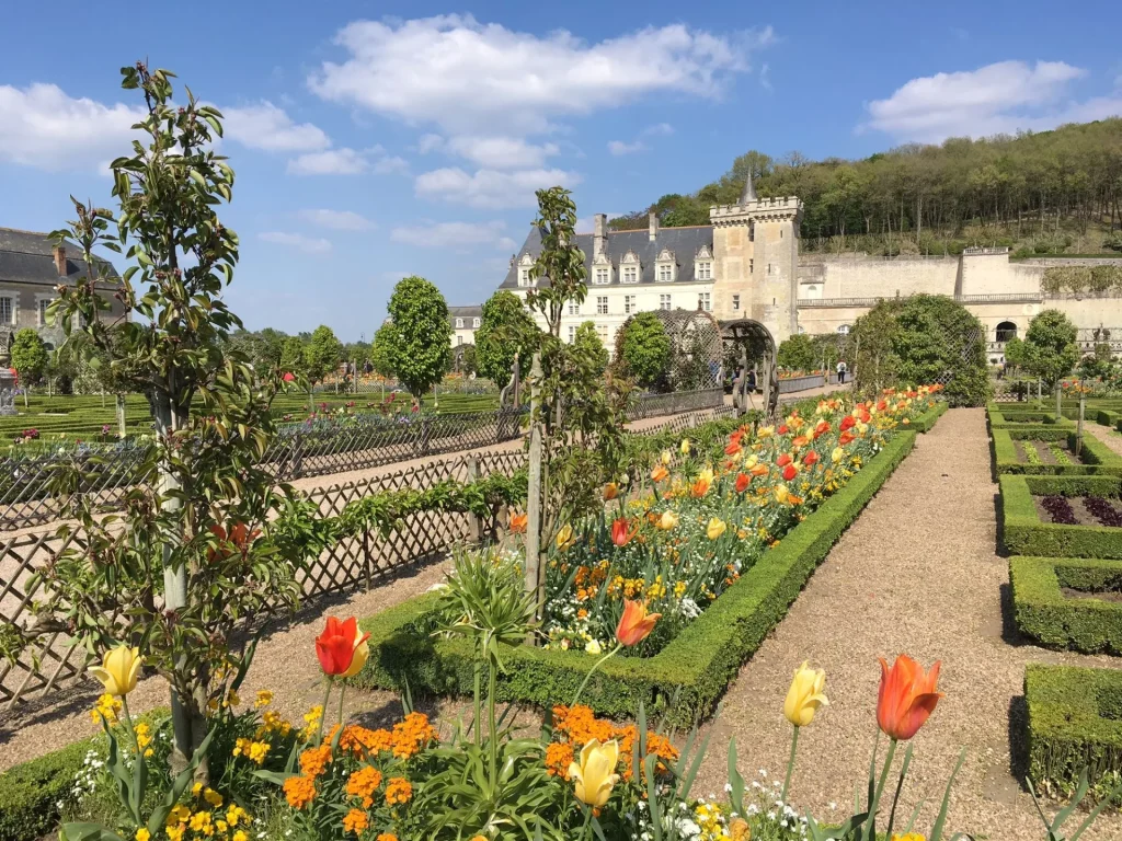 Jardins de Villandry et tulipes