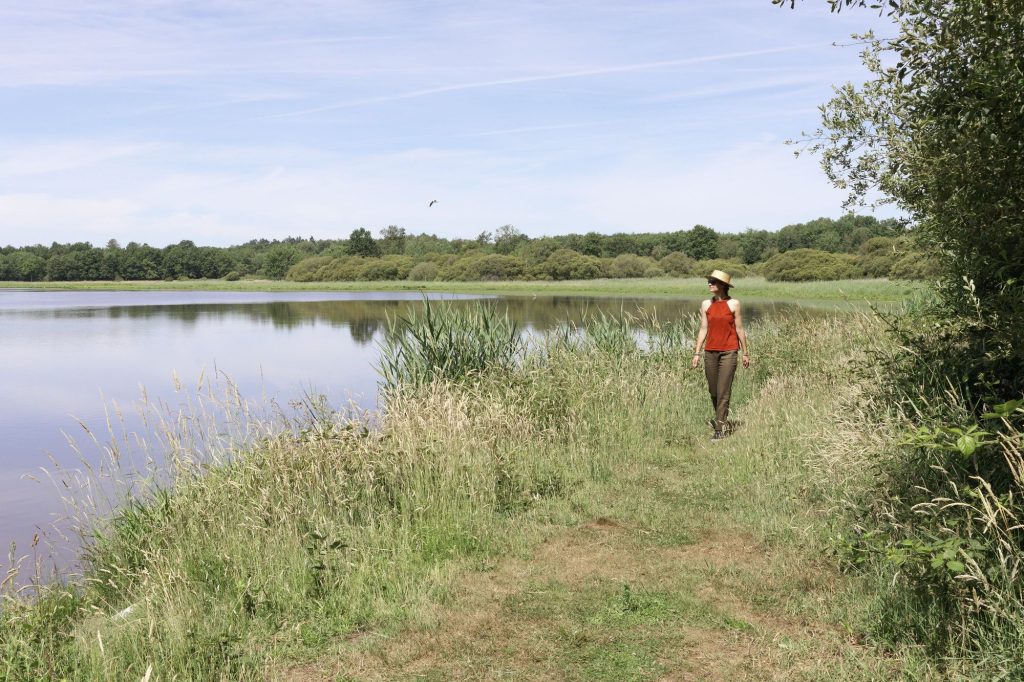 Promenade au bord d'un étang de Sologne, sur la Route des étangs, entre La Ferté-Beauharnais et Marcilly-en-Gault