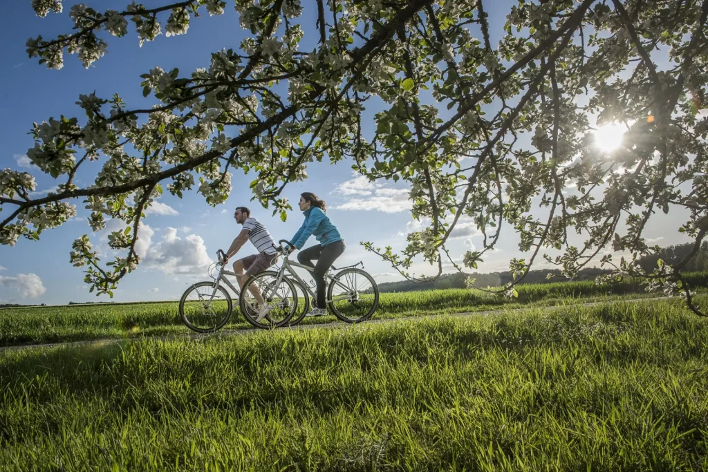 Balade à vélo au printemps