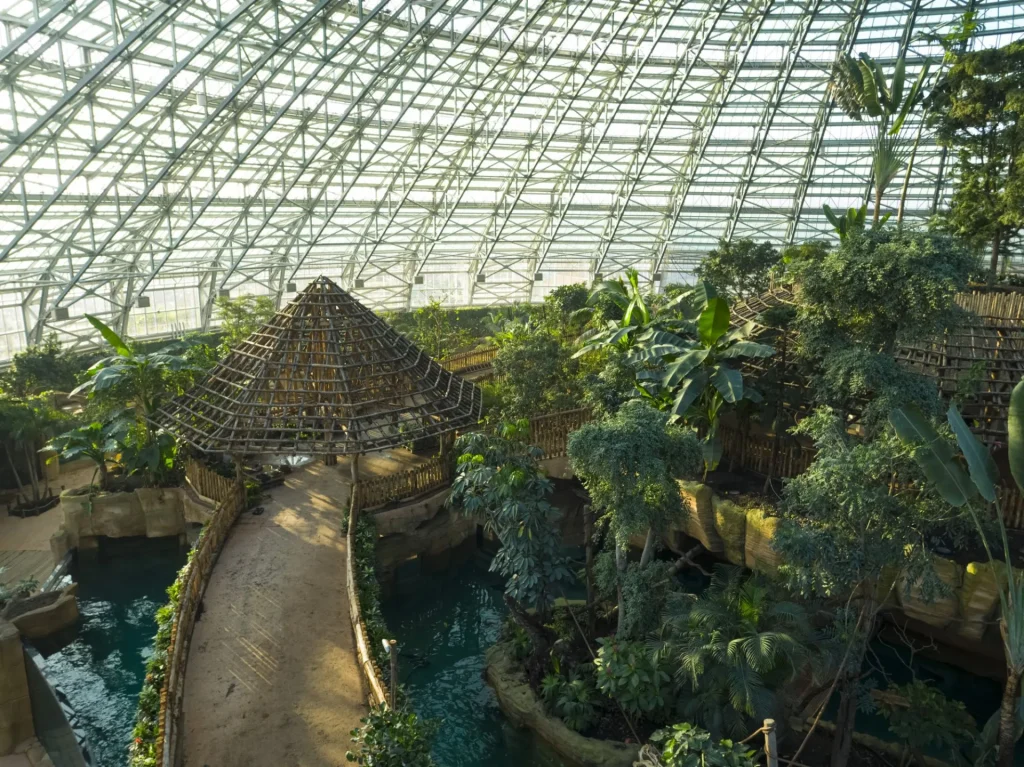 La végétation sous le dome