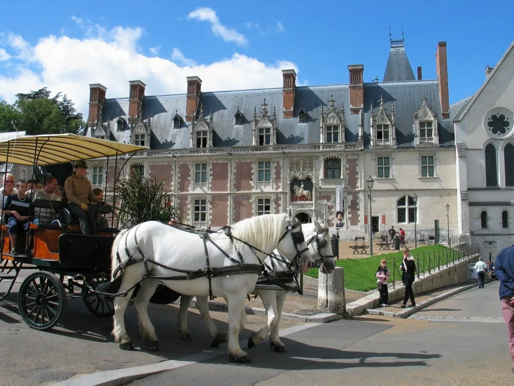 Une balade en calèche à Blois