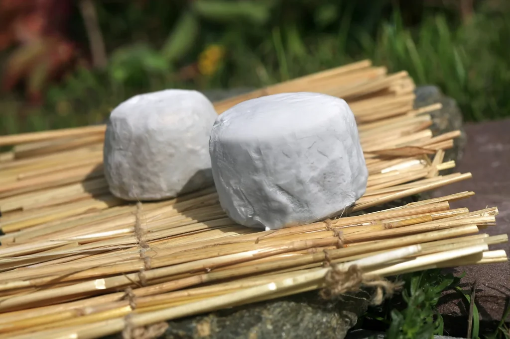 Deux crottins de Chavignol posés sur de la paille