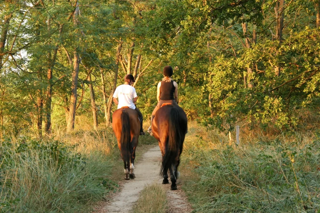 2 personnes à cheval sur un sentier en forêt