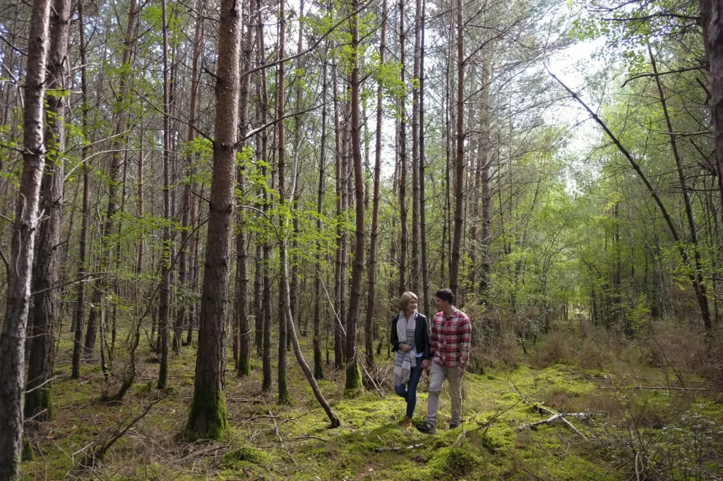 Couple qui se promène en forêt