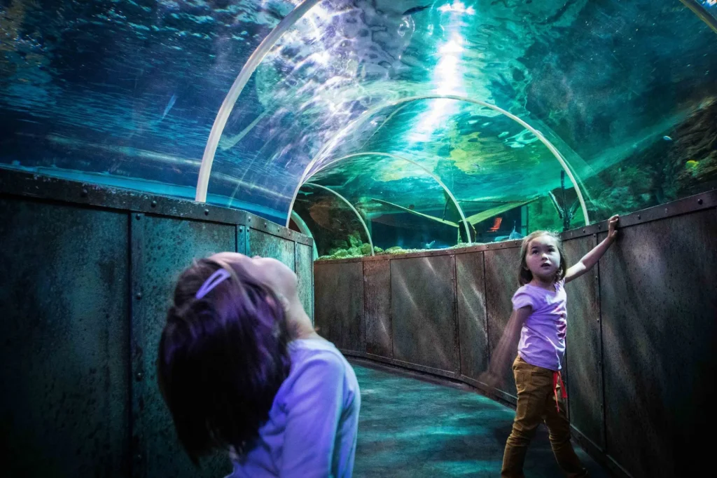 Petites filles au Grand aquarium de Touraine