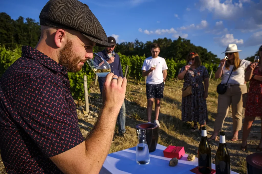 dégustation au milieu des vignes