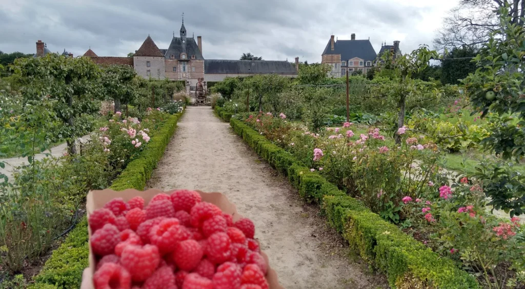 Jardin du château de la Bussière