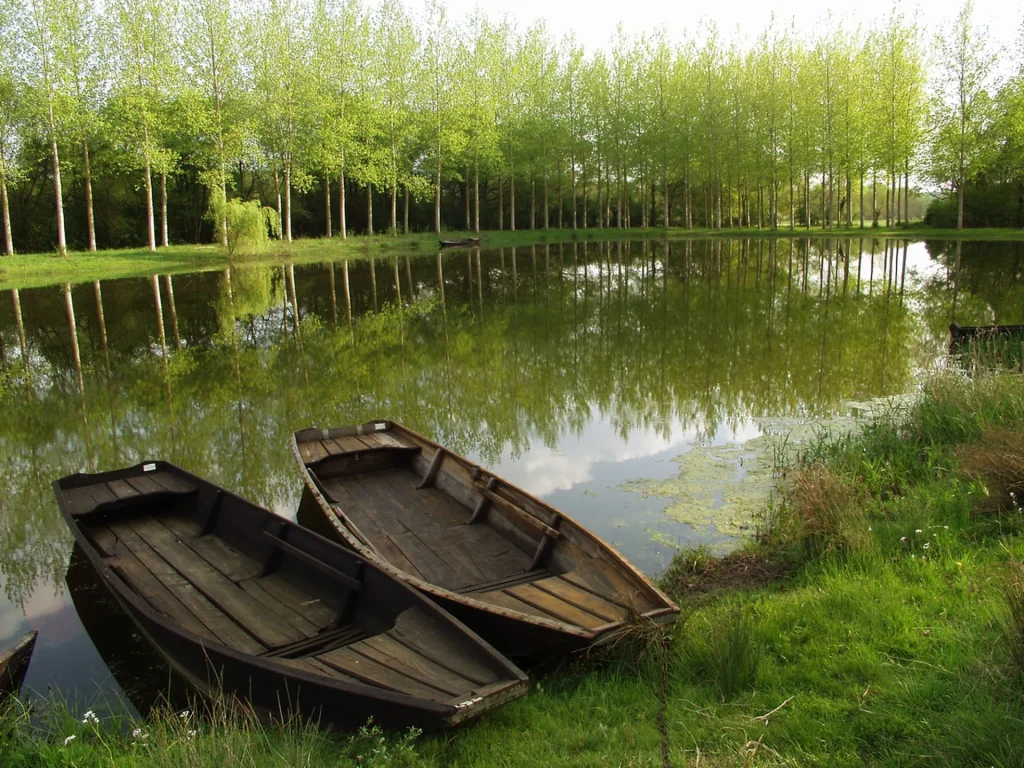 2 Barques traditionnelles amarrées