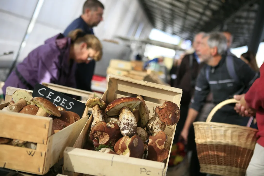 Cagettes de cèpes sur un marché