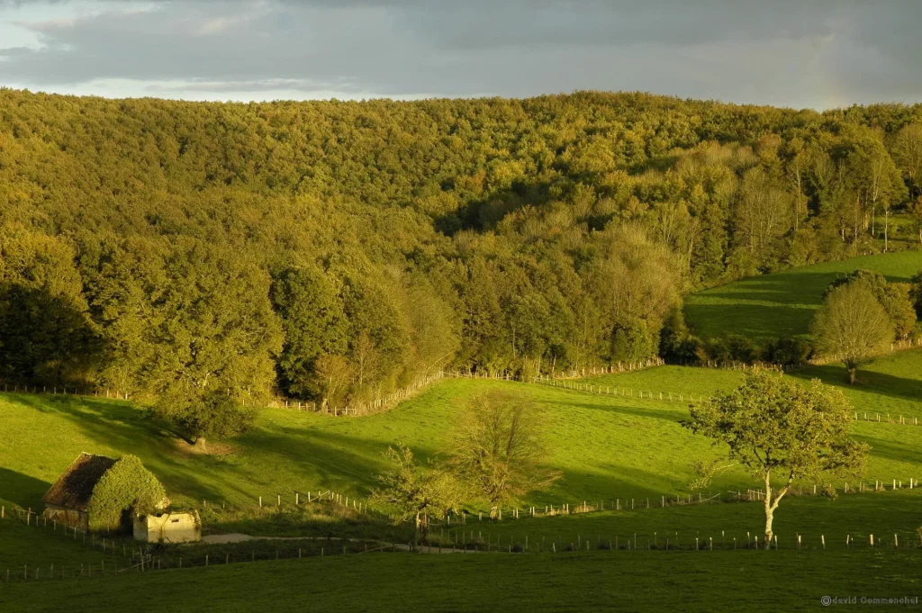 Vue sur des champs et la forêt depuis les hauteurs d'une butte