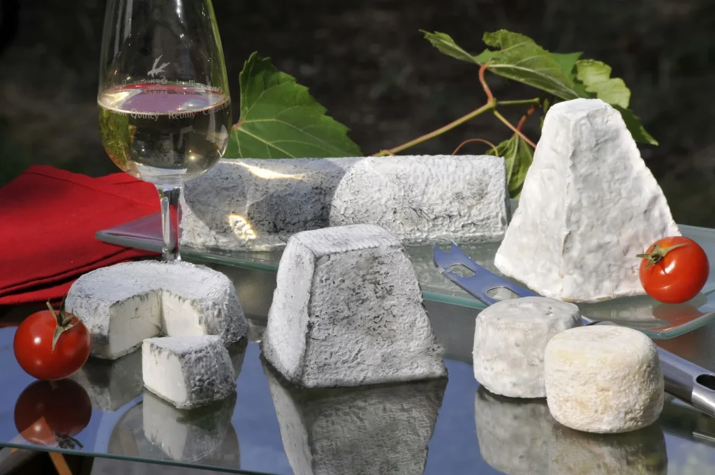 Fromages de chèvre posés sur un plateau en verre