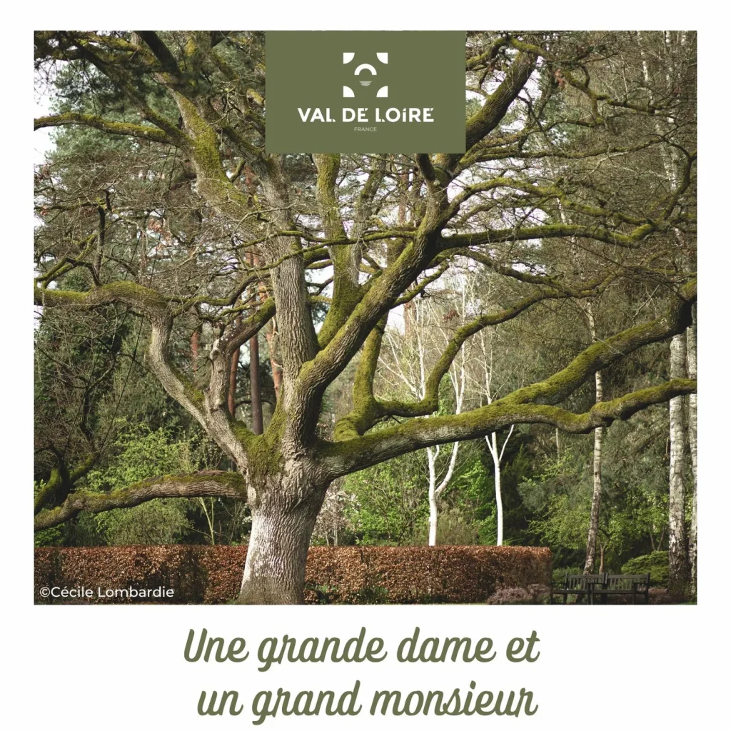 Episode 3 des podcasts "Instantanés du Val de Loire" - Une grande dame et un grand monsieur