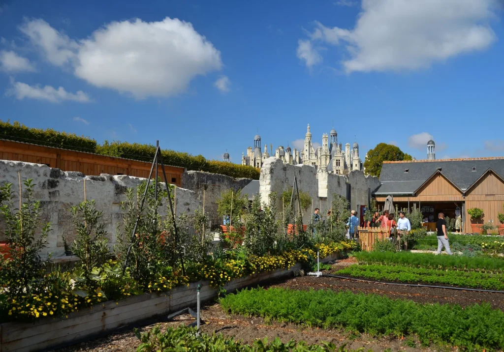 Les potagers de Chambord