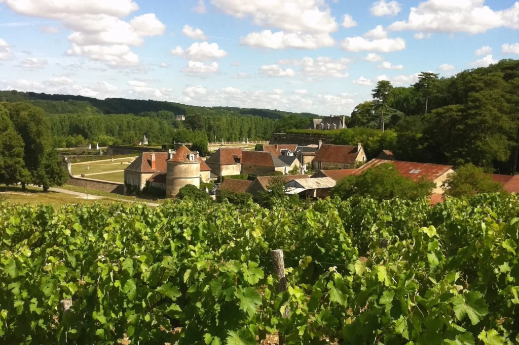 Les vignes de Valmer