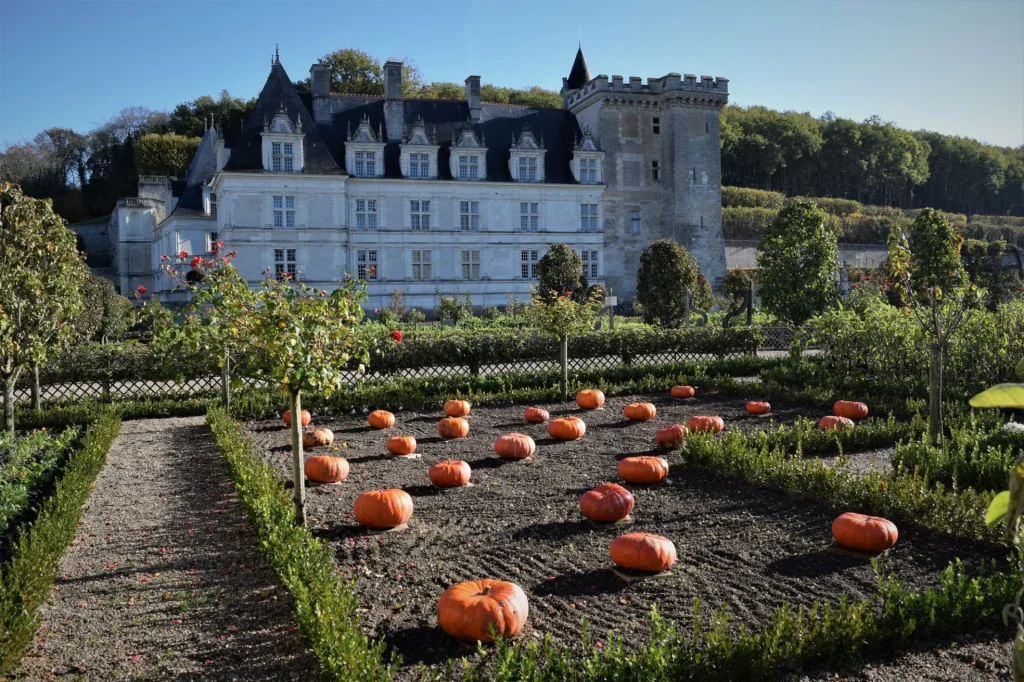 Jardin du Château de Villandry parsemé de citrouille