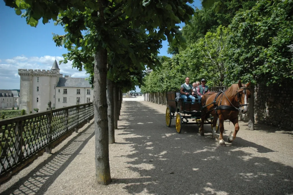 Une balade en calèche prés du Château de Villandry