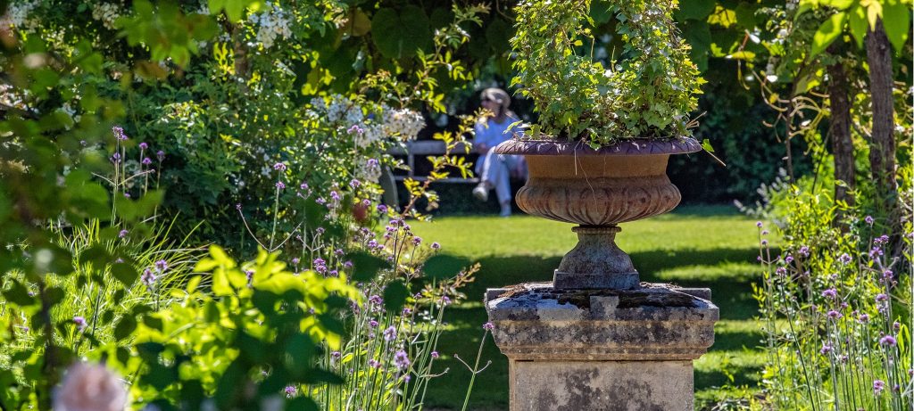 Plantes fleuries au premier plan