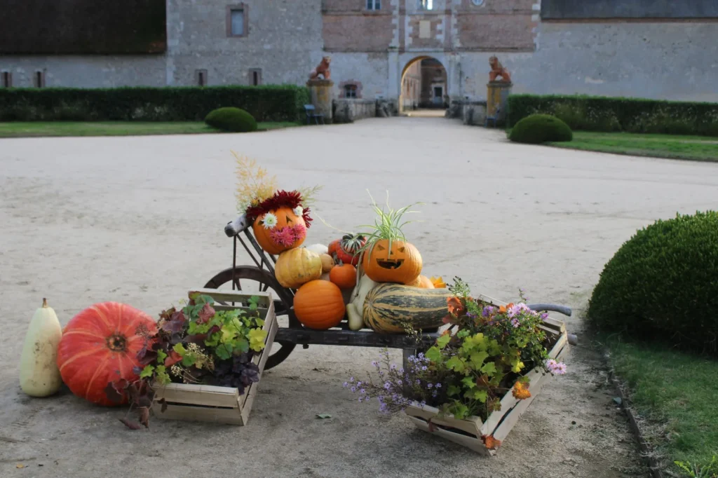 Citrouilles creusées devant le château de la Bussière