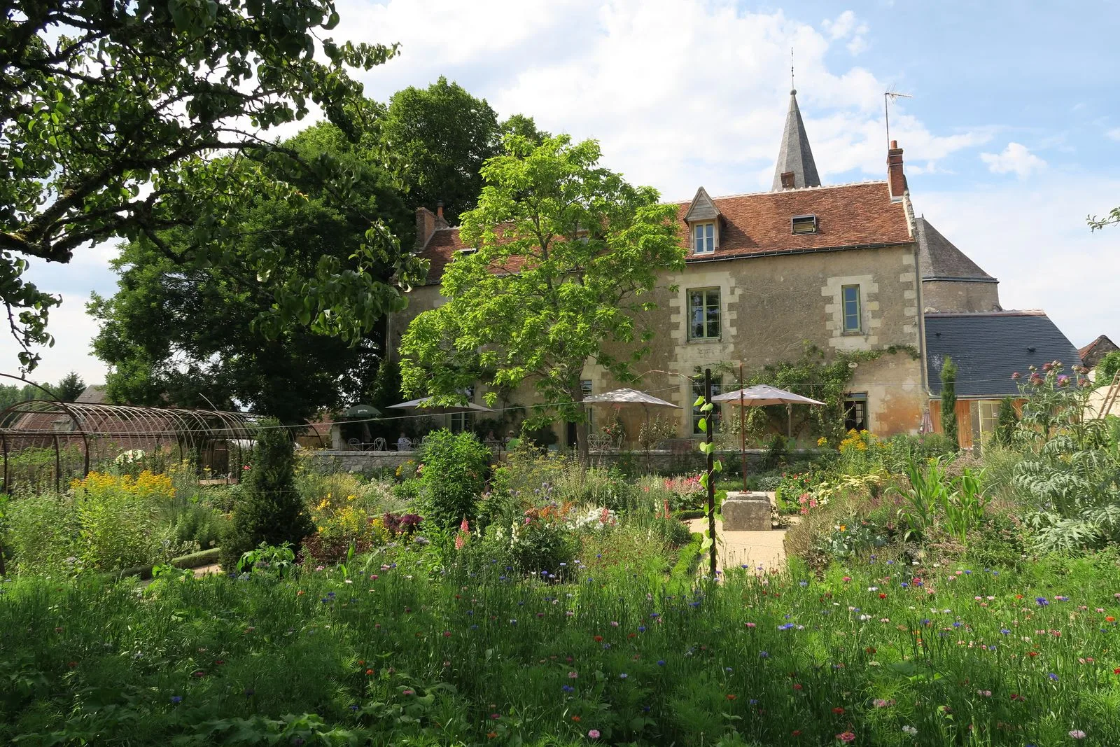 Jardin du Presbytère et clocher de l'église à Chédigny