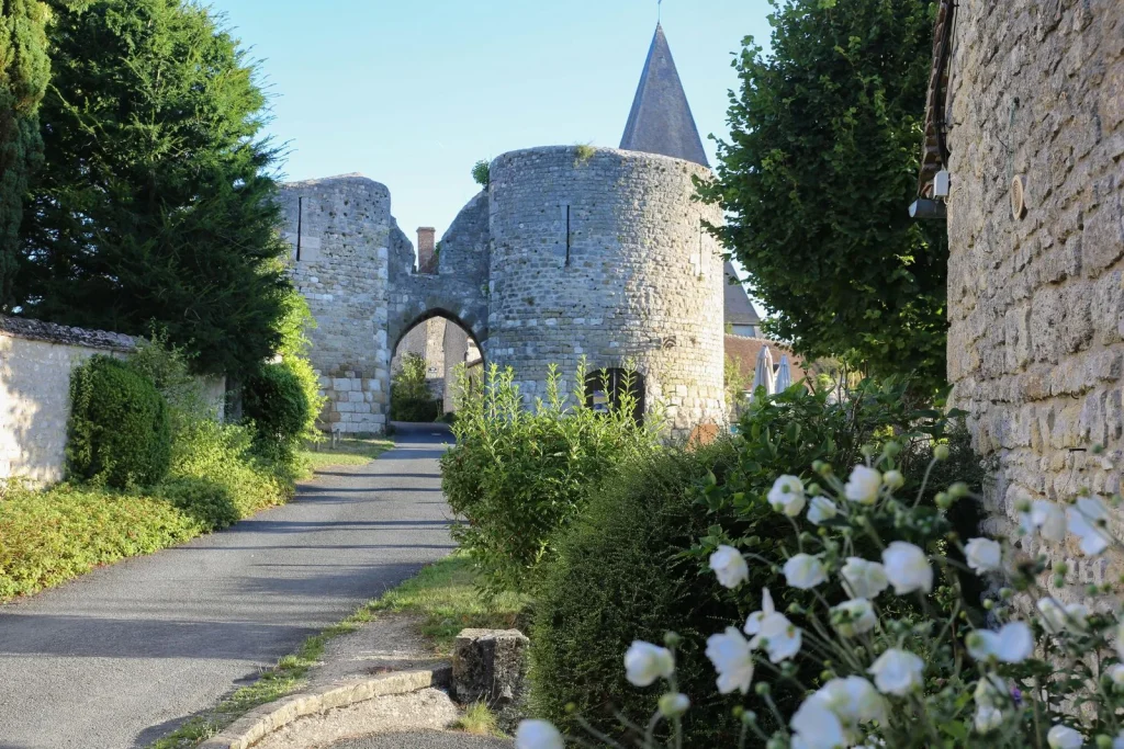 Fleurs blanches devant la forteresse de Yèvre-le-Châtel