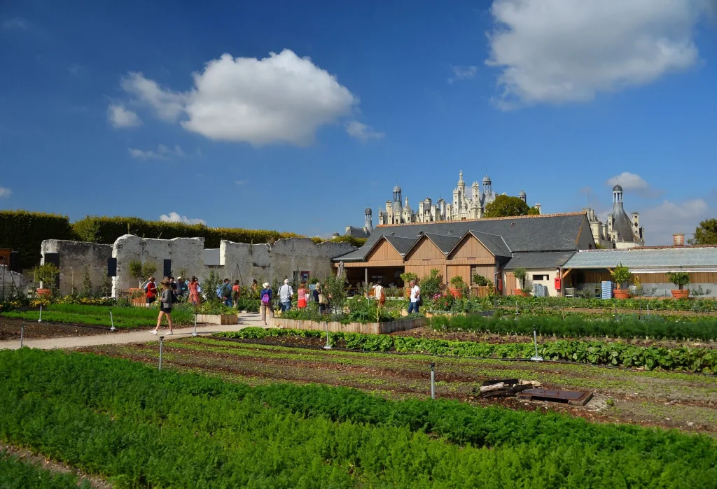 Le potager du Domaine National de Chambord