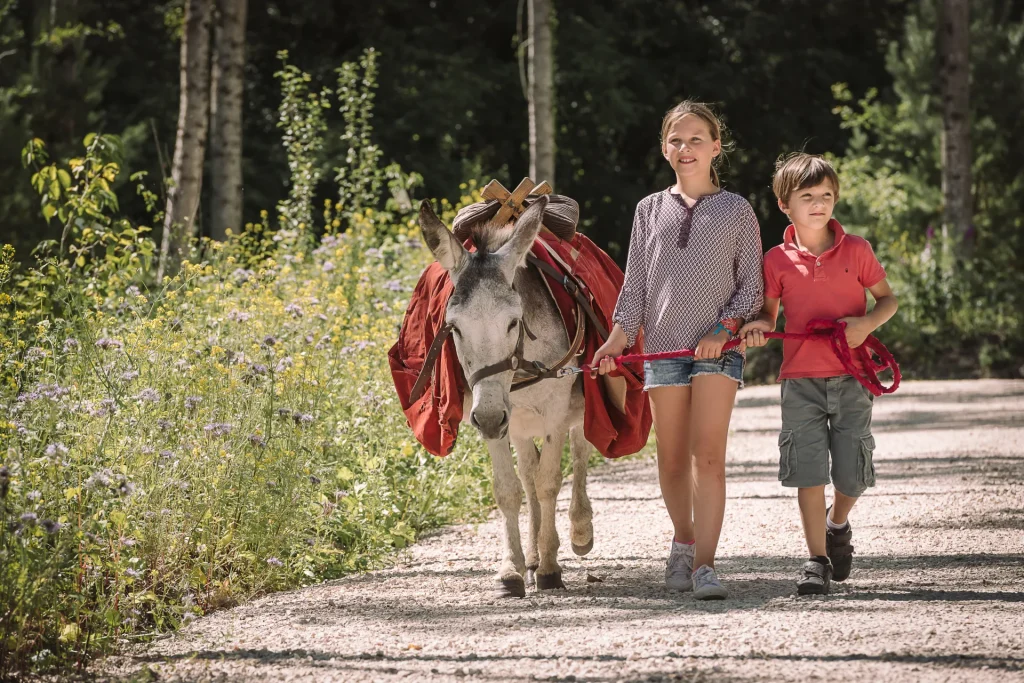 Deux enfants en promenade en compagnie d'un âne