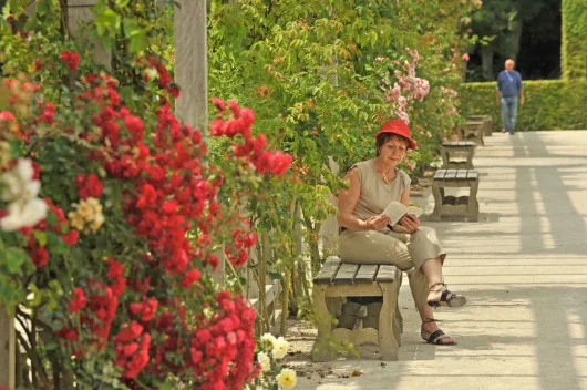 Femme sur un banc en train de lire à l'ombre des fleurs