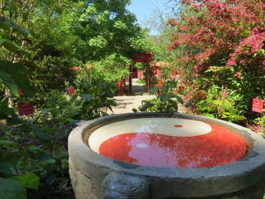 Symbole Ying et Yang dans un grand pot de fleur entouré d'arbustes fleuris