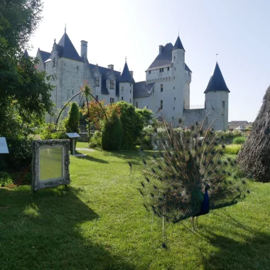 Le parc devant le chateau du Rivau avec un paon qui fait la roue