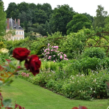 Massifs de fleurs et de roses du jardin