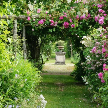 Tunnel de fleurs roses et blanches