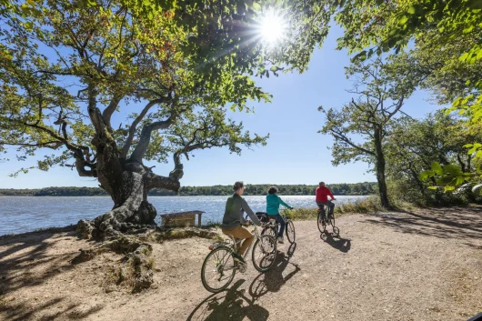 Cyclotouristes sur la Brenne