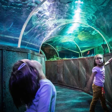 Petites filles au Grand aquarium de Touraine