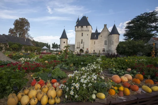 Potager de cucurbitacées dans les jardins devant le château du Rivau
