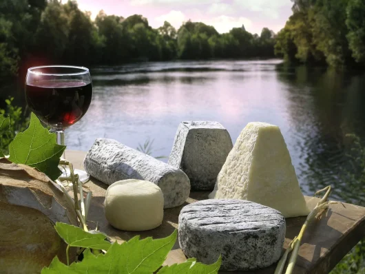 Plateau de fromages de chèvre AOC et un verre de vin